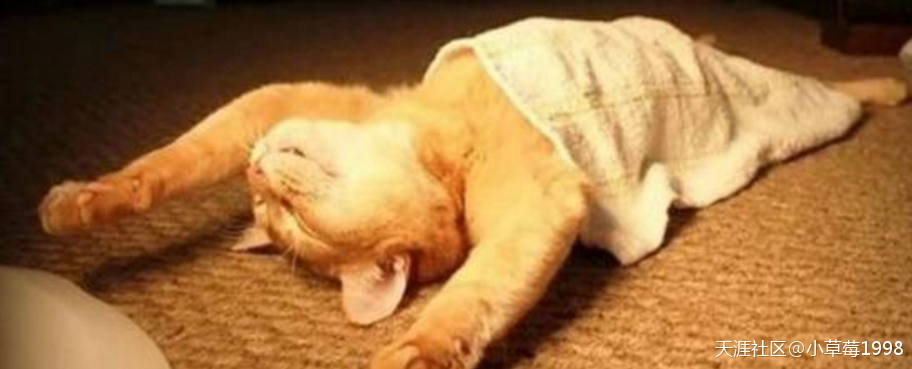 炒币一定要宁可不止盈一定要止损（25钻100包51%）