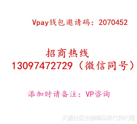 [揭秘]Vpay支付钱包的诞生是商机还是骗局！